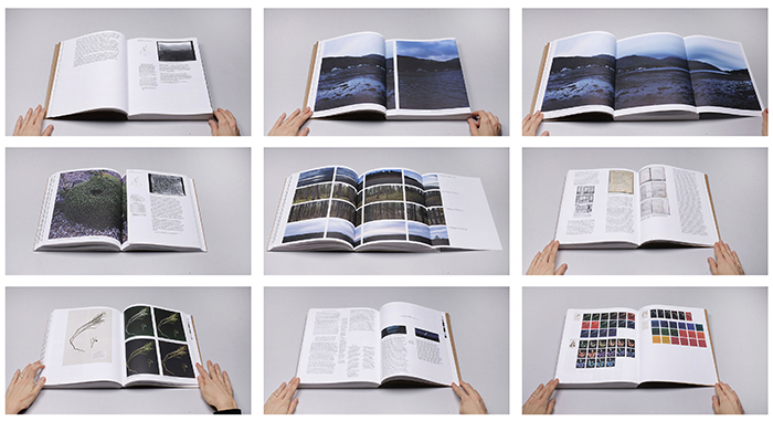 field studies sequence